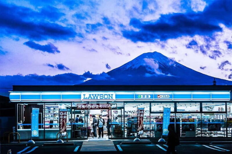 Tokyo: Mt. Fuji & Lake Kawaguchi Instagram Full Day Trip - What’s Included & What’s Not