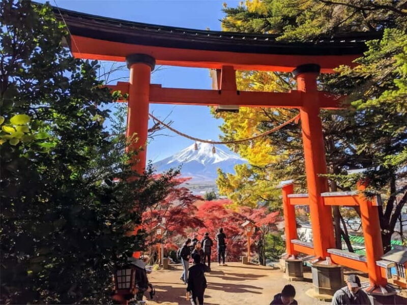 Tokyo: Mt. Fuji & Lake Kawaguchi Instagram Full Day Trip - Who Will Love This Tour?