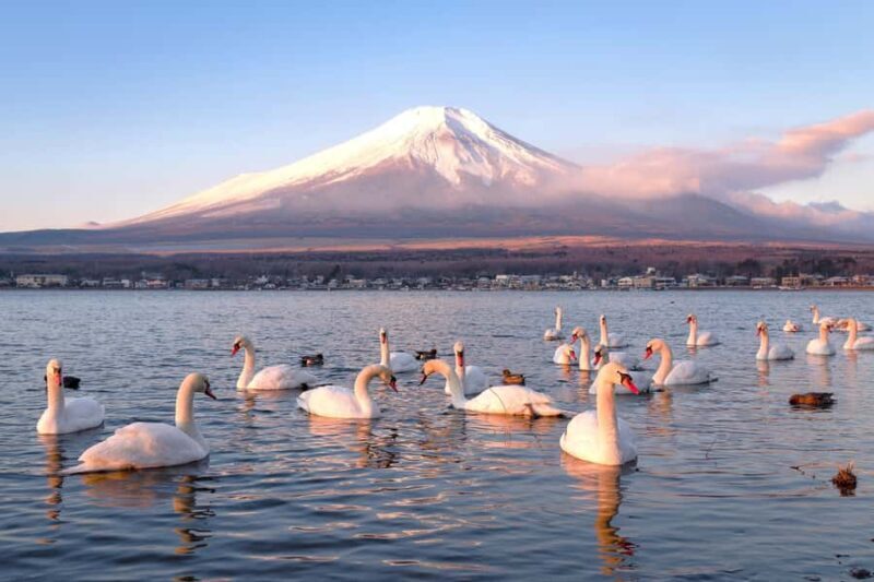 Tokyo: Mt. Fuji & Lake Kawaguchi Small Group Tour - 6 Spots - Key Points