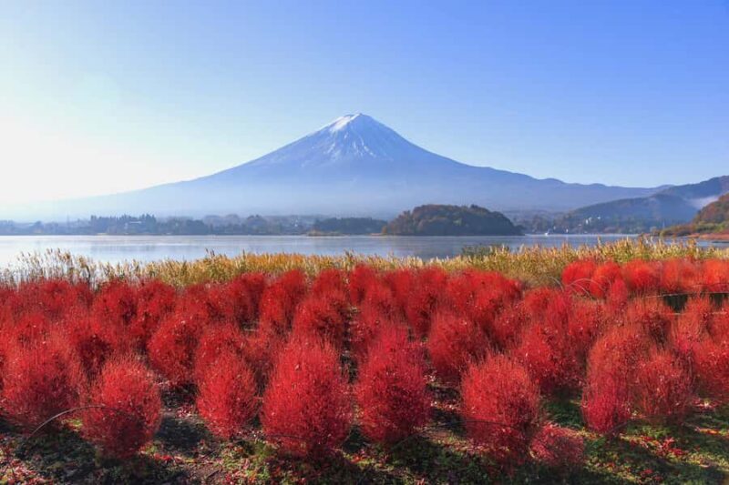 Tokyo: Mt. Fuji & Lake Kawaguchi Small Group Tour - 6 Spots - An In-Depth Look at the Tour Experience