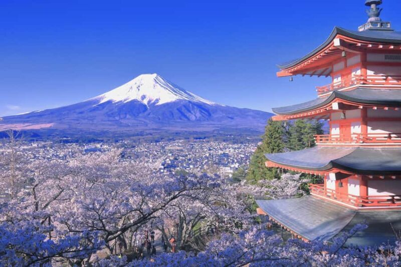 Tokyo: Mt. Fuji & Lake Kawaguchi Small Group Tour - 6 Spots - Who Will Enjoy This Tour?