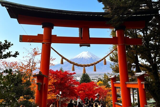 Tokyo: Mt.Fuji & Lake Kawaguchiko 1-Day Bus Tour w/Optional Lunch - The Complete Breakdown of the Tour Experience