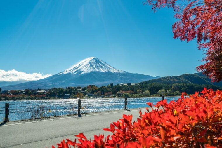 tokyo-mt-fuji-lake-kawaguchilake-yamanakaonsen-day-tour