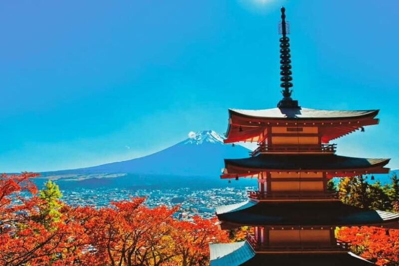 Tokyo: Mt. Fuji, LakeKawaguchiko, Pagoda, & Oishi Park Tour - Key Points