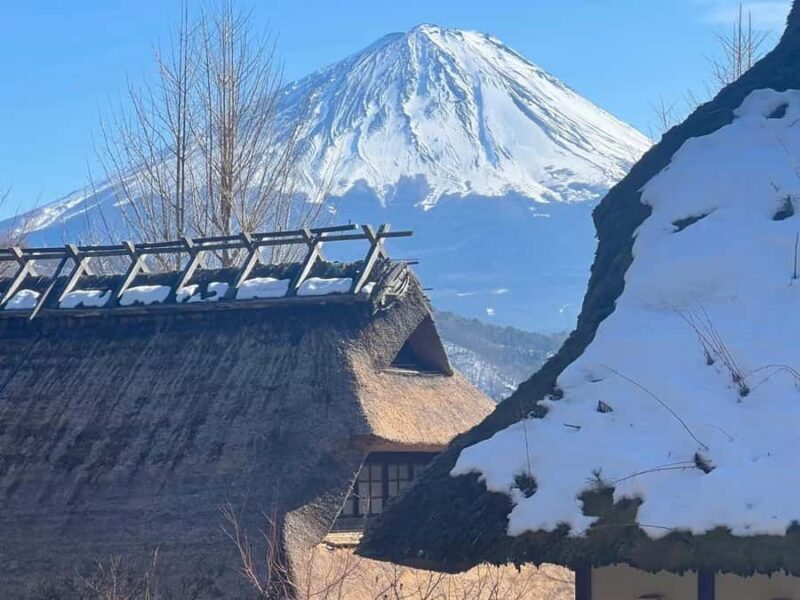 Tokyo: Mt. Fuji, Makaino Farm, and Lake Kawaguchi Tour - Lunch Options