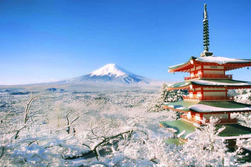 Tokyo: Mt Fuji & Oishi Park &Lake Kawaguchi & OshincHakkai - Authentic and Scenic: A Deep Dive into the Tokyo: Mt Fuji & Oishi Park &Lake Kawaguchi & Oshino Hakkai Tour