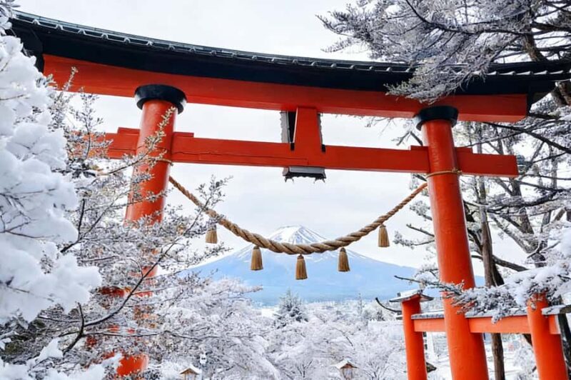 Tokyo: Mt Fuji & Oishi Park &Lake Kawaguchi & OshincHakkai - What Makes This Tour Stand Out?