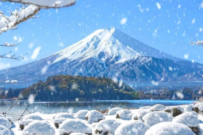 Tokyo: Mt Fuji & Oishi Park &Lake Kawaguchi & OshincHakkai - FAQs