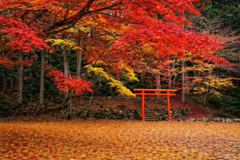 Tokyo: Mt Fuji One-Day Private & Customizable Tour - Exploring the Tokyo: Mt Fuji One-Day Private & Customizable Tour