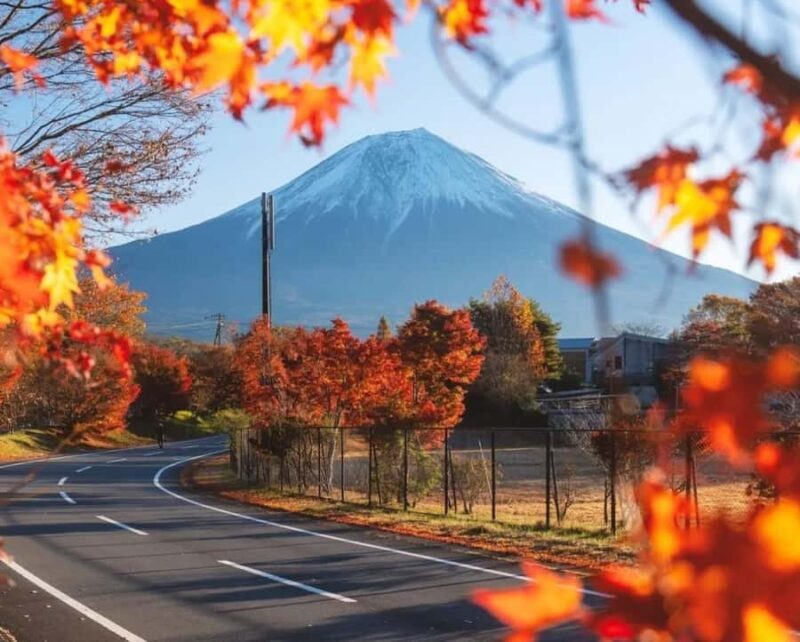 Tokyo: Mt Fuji One-Day Private & Customizable Tour - The Itinerary Breakdown: What to Expect