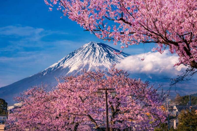 Tokyo: Mt Fuji One-Day Private & Customizable Tour - FAQ