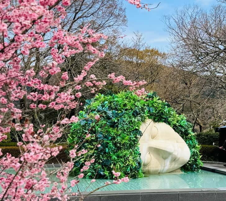 Tokyo: Mt. Fuji, Owakudani, Hakone Shrine, & Open-Air Museum - What to Expect from This Tour