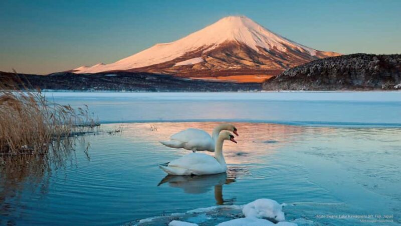 Tokyo: Mt Fuji Private Day Luxury Tour - Key Points