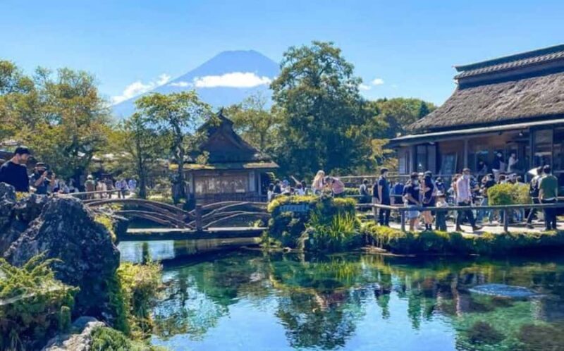 Tokyo: Mt Fuji Private Day Luxury Tour - A Closer Look at the Tour Experience