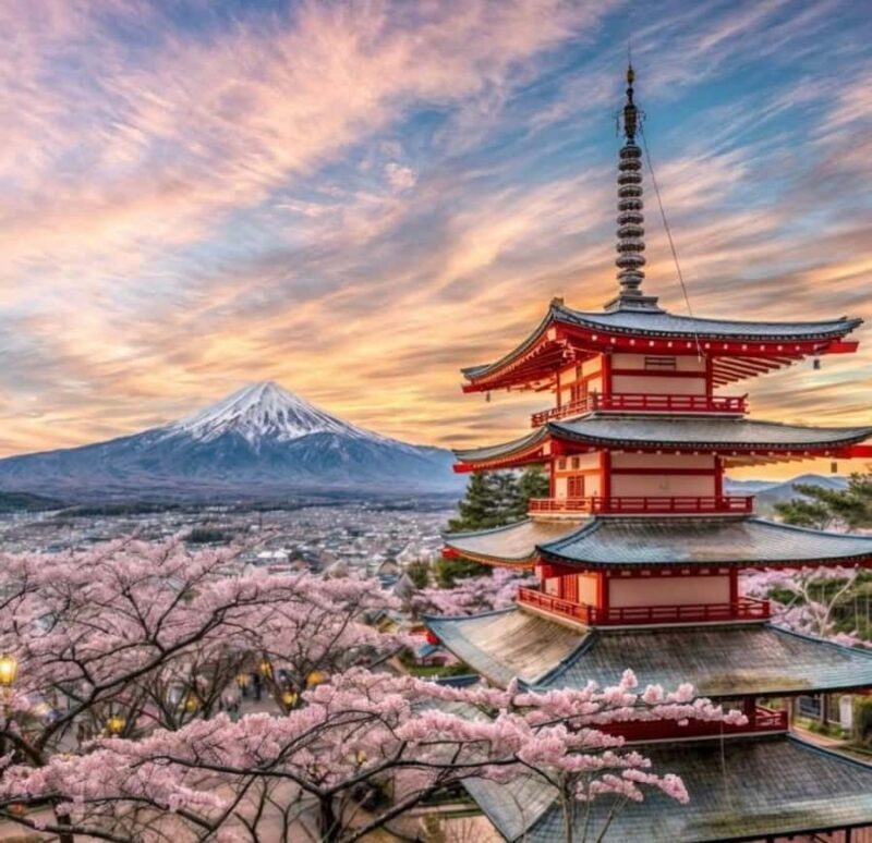 Tokyo: Mt Fuji Private Day Luxury Tour - What Travelers Can Expect