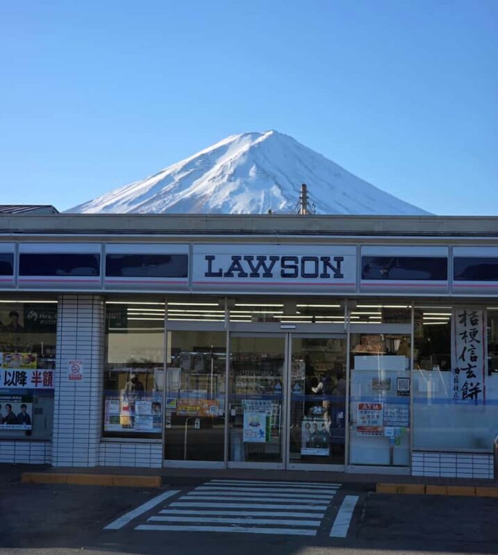 Tokyo: Mt Fuji Private Day Luxury Tour - How Does It Value Compare?
