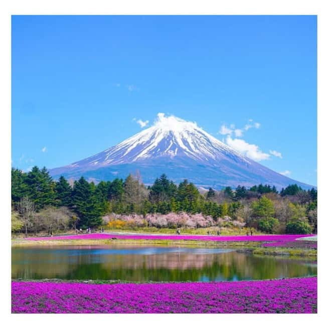 Tokyo: Mt Fuji Private Day Tour By English Driver Low Price - Why This Tour Is a Fantastic Choice