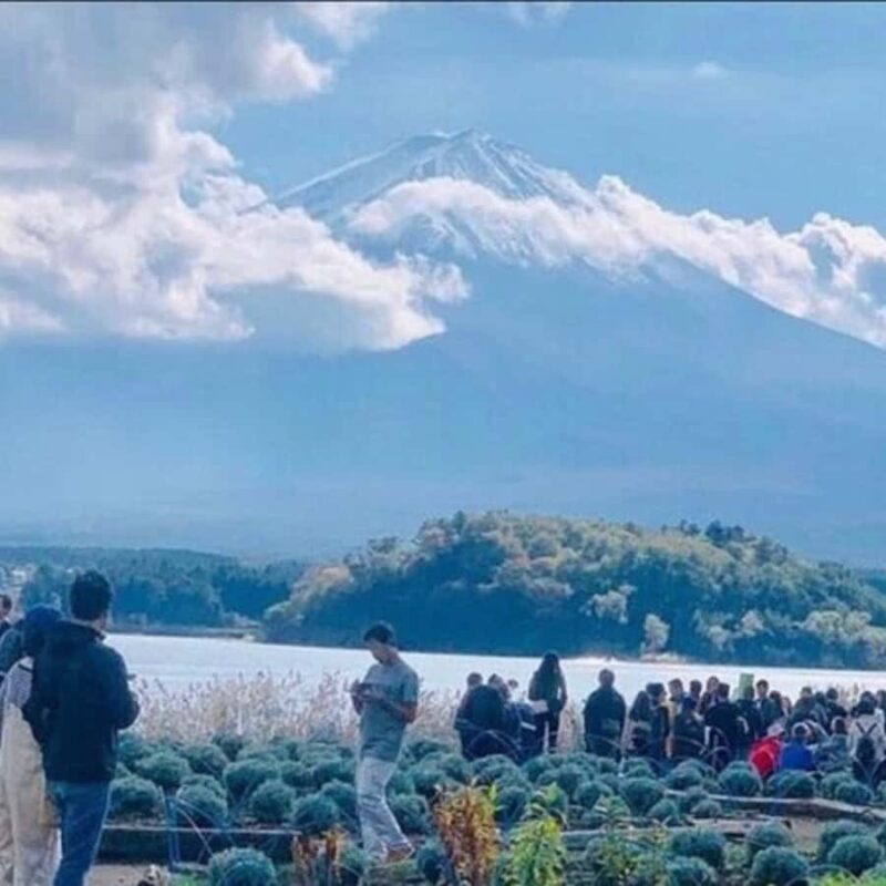 Tokyo: Mt Fuji Private Tour Customizable By English Driver - The Transport: Comfort and Convenience