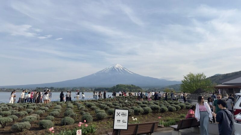 Tokyo: Mt. Fuji Private Tour with Kawaguchi lake - Authentic Insights from Past Reviews
