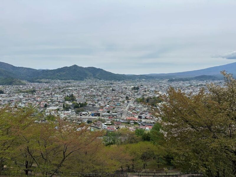 Tokyo: Mt. Fuji Private Tour with Kawaguchi lake - Why This Tour is Worth Considering