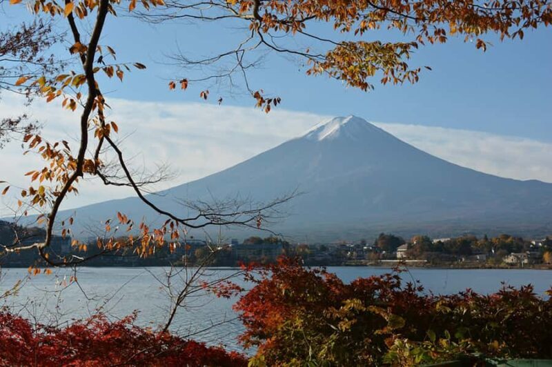 Tokyo : Mt. Fuji Skyline JDM Car Driving Tour from Tokyo - A Review of the Tokyo: Mt. Fuji Skyline JDM Car Driving Tour from Tokyo