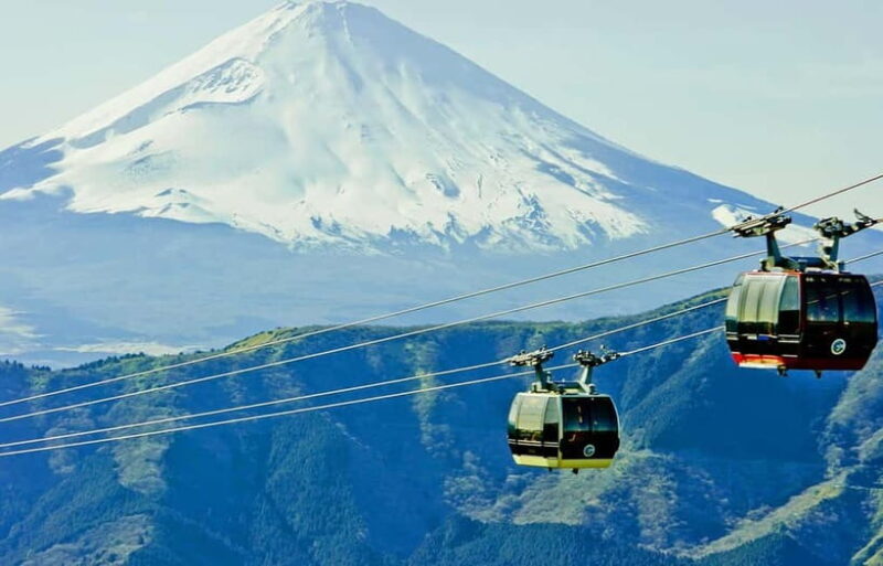 Tokyo: Mt. Fuji Tour, Hakone Ropeway, Owakudani, Lake Ashi - Who Should Book This Tour?  