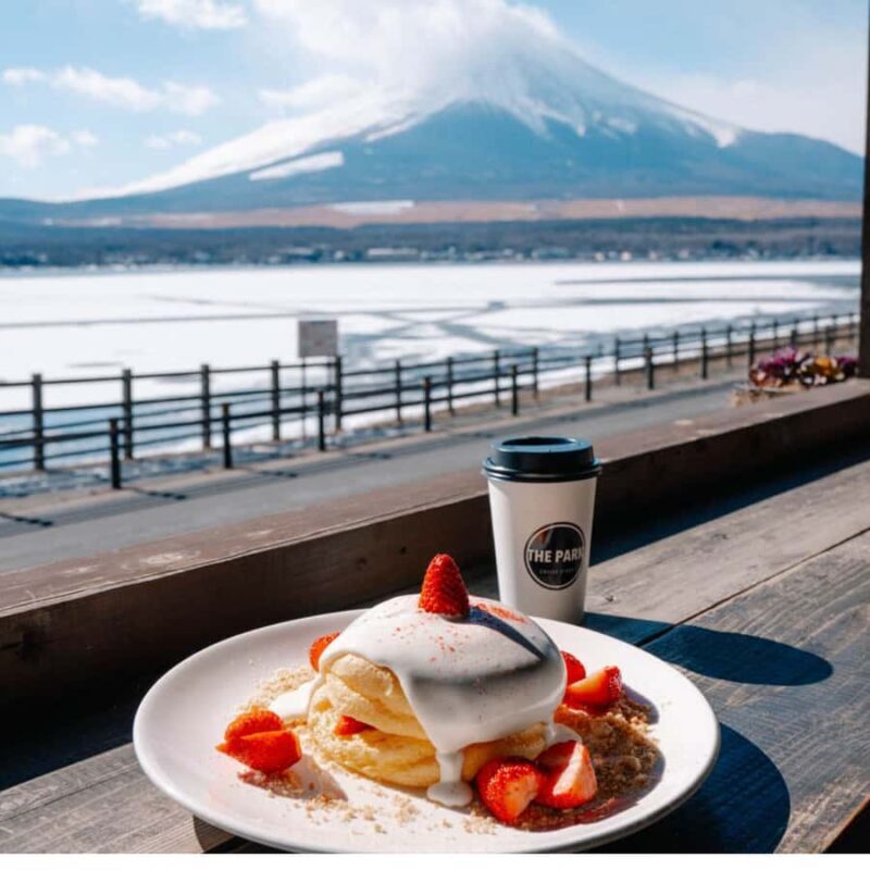 Tokyo: Mt. Fuji Tour, Lake Ashi, Hakone Ropeway, Owakudani, - Exploring Japan’s Iconic Natural Beauty: A Deep Dive into the Mt. Fuji Tour from Tokyo