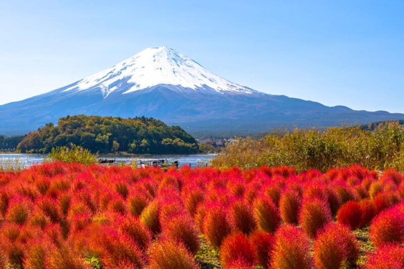 tokyo-mt-fuji-trip-with-kawaguchiko-ropeway-and-matcha-tea