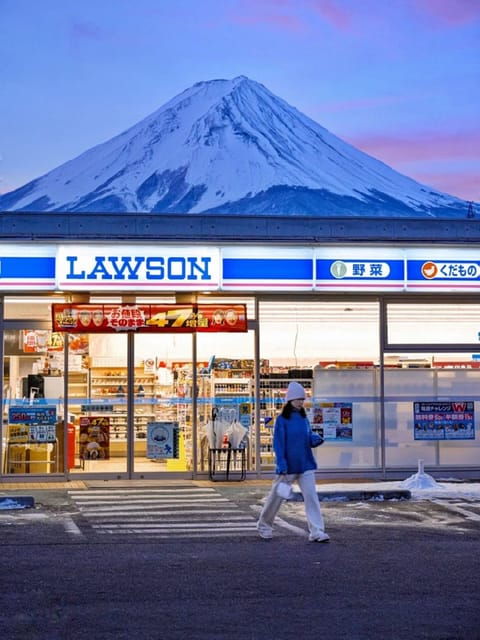 tokyo-mt-fuji-trip-with-kawaguchiko-ropeway-and-matcha-tea