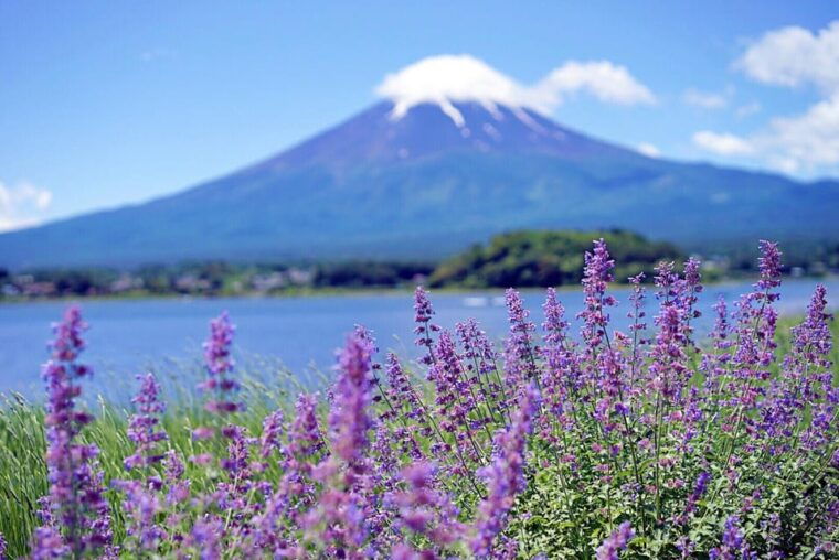 tokyo-mt-fuji-trip-with-kawaguchiko-ropeway-and-matcha-tea