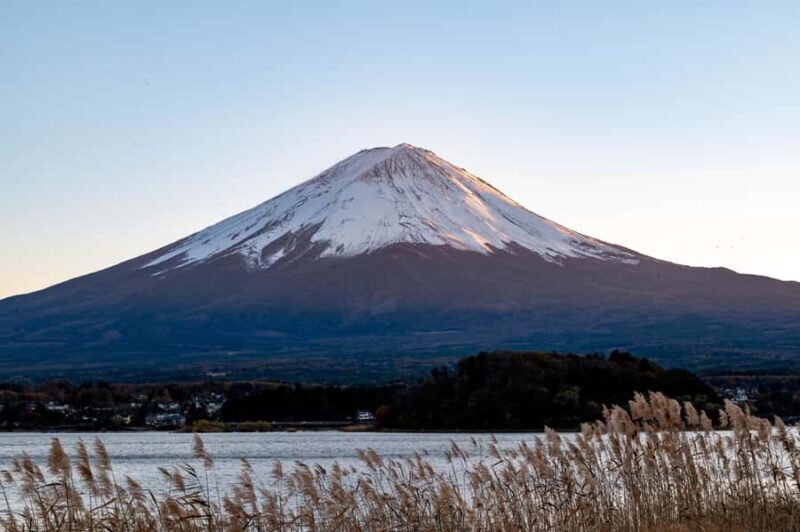 Tokyo: Mt. Fuji View with Fujiten Snow Fun & Oishi Park Tour - Who Should Consider This Tour?