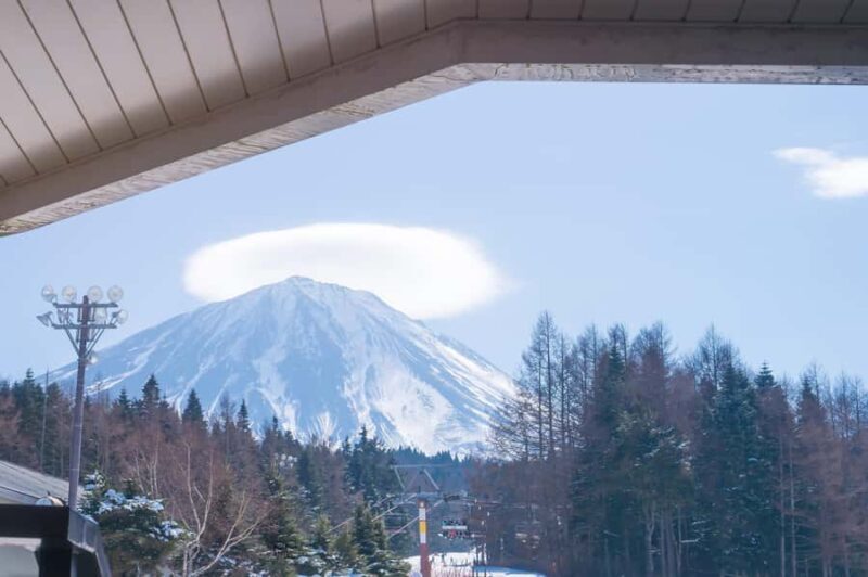Tokyo: Mt. Fuji View with Fujiten Snow Fun & Oishi Park Tour - The Sum Up