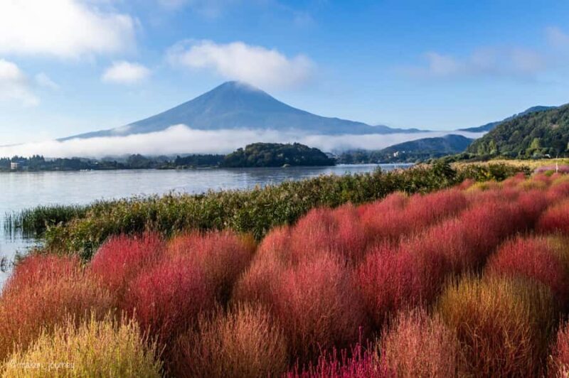 Tokyo, Mt. Fuji & Yokohama: 5-Day Highlights Tour - Why This Tour Offers Great Value