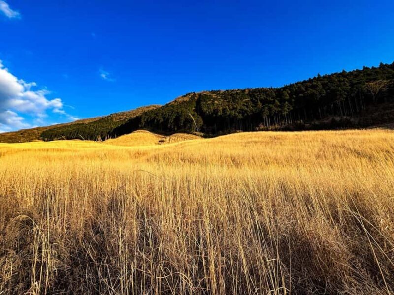 Tokyo: Mt. Fuji&HakoneDayTrip LakeKawaguchi,Kimono&Owakudani - The Full Experience: What to Expect on the Day Trip