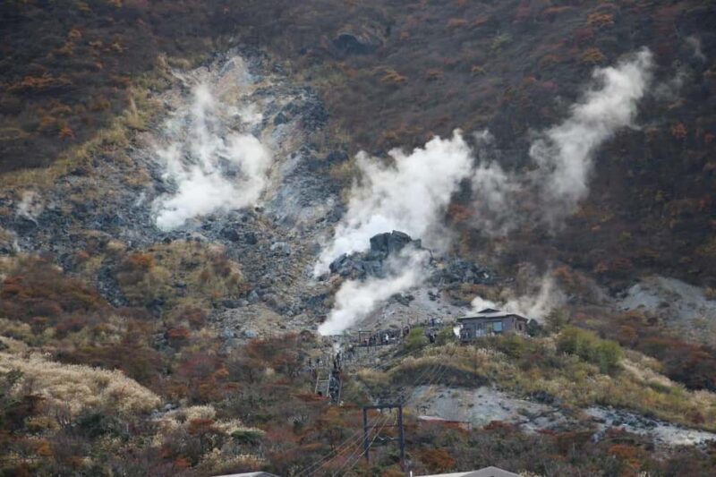 Tokyo: Mt. Fuji&HakoneDayTrip LakeKawaguchi,Kimono&Owakudani - Is It Worth the Price? Analyzing Value