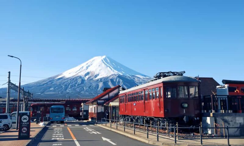 Tokyo: Mt. Fuji,Kawaguchi Lake,Scenic Cruise & Fujikyu Train - What to Expect from This Tour