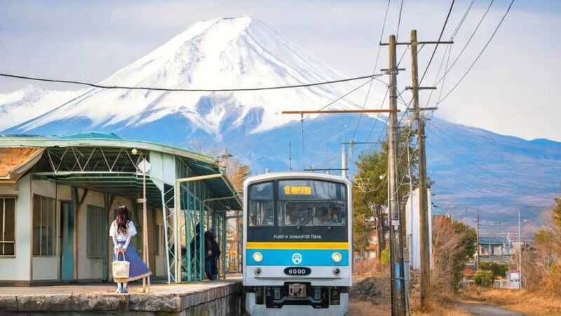 Tokyo: Mt. Fuji,Kawaguchi Lake,Scenic Cruise & Fujikyu Train - Final Thoughts: Who Will Love This Tour?