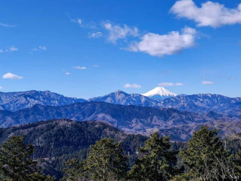 Tokyo: Mt. Takao Nature & Culture Hike with Private Guide - What Makes This Tour Stand Out?