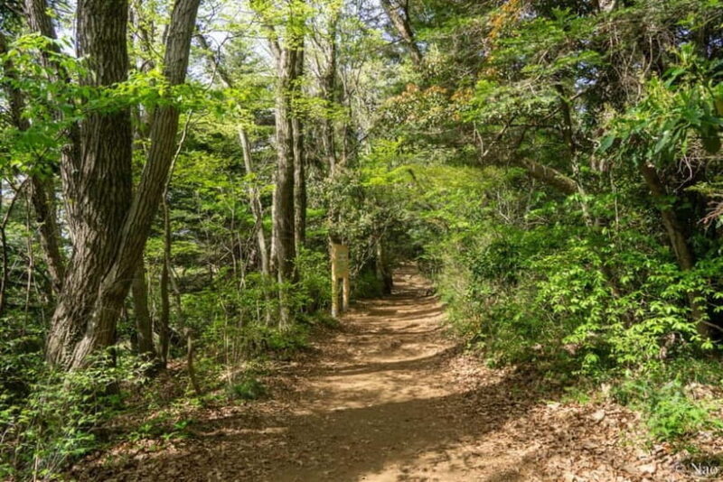 Tokyo: Mt. Takao Nature & Culture Hike with Private Guide - Practical Tips for Your Mt. Takao Hike