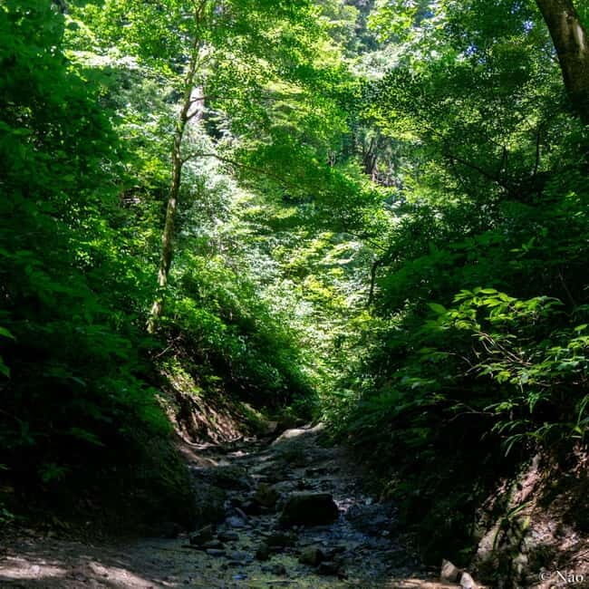 Tokyo: Mt. Takao Nature & Culture Hike with Private Guide - FAQs