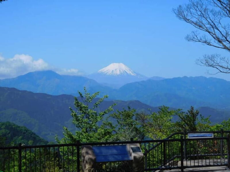 Tokyo: Mt Takao Tour with Ramen and Tattoo-Okay Hot Spring - Key Points