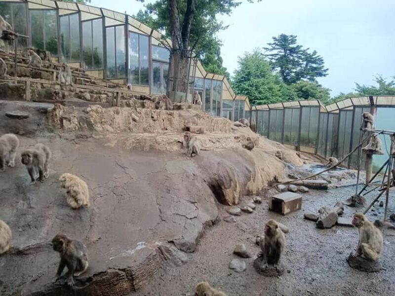 Tokyo: Mt Takao Tour with Ramen and Tattoo-Okay Hot Spring - How the Tour Stands Out