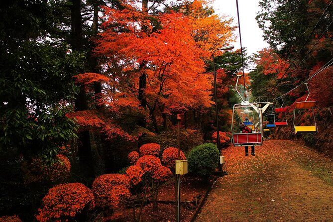 Tokyo: Mt. Takao Tour with Ramen and Tattoo-Okay Hot Spring - First Stop: Takao 599 Museum