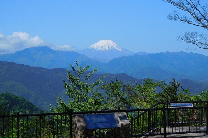 Tokyo: Mt. Takao Tour with Ramen and Tattoo-Okay Hot Spring - Scenic Ride: Takaotozan Cable Car & Chair Lift