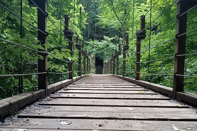 Tokyo: Mt. Takao Tour with Ramen and Tattoo-Okay Hot Spring - Lunch with Local Flavor