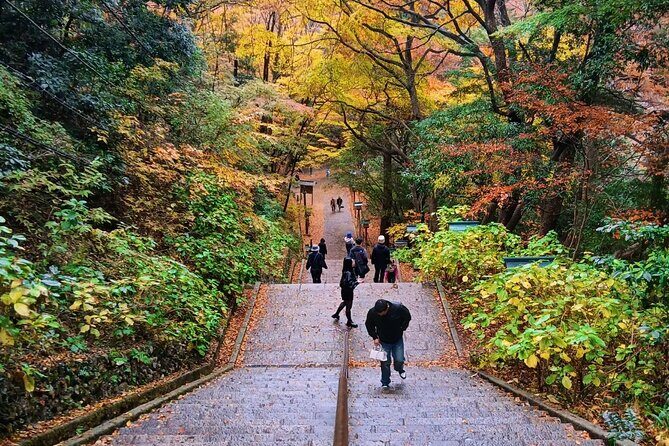 Tokyo: Mt. Takao Tour with Ramen and Tattoo-Okay Hot Spring - Sacred Yakuo-in Yuki-ji Temple & Mountain Views