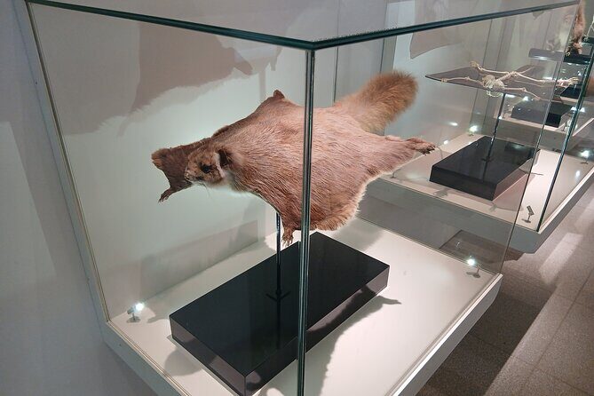 Tokyo: Mt. Takao Tour with Ramen and Tattoo-Okay Hot Spring - End Relaxation: Tattoo-Friendly Hot Spring