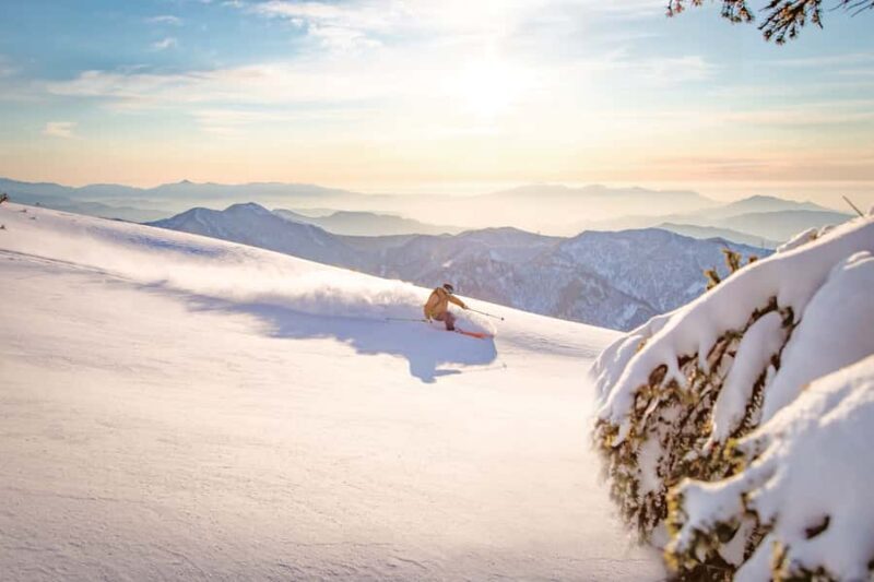 Tokyo: Naeba Ski, Kiyotsu Gorge and Fruit Picking Two Days - Who Is This Tour Perfect For?