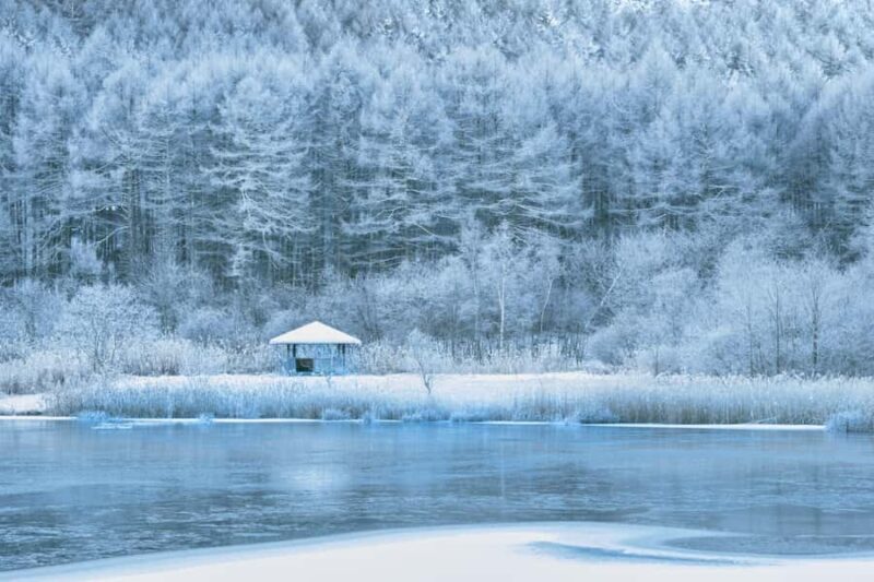 Tokyo/Nagano: Hakuba Valley & Togakushi Shrine 2-Day Tour - Who Will Love This Tour?