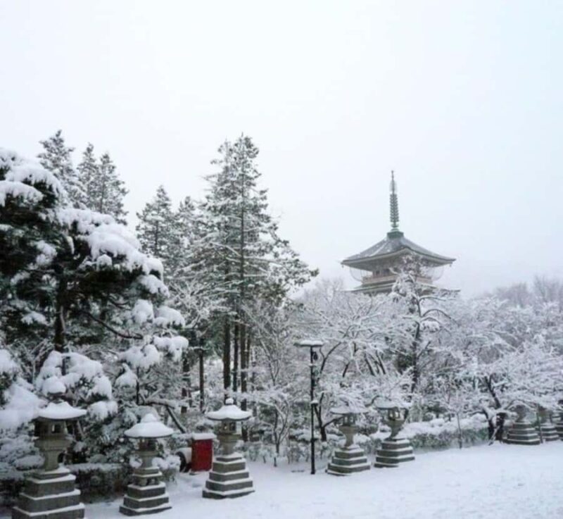 Tokyo: Nagano Private Day Tour with Guide and Transfer - The Sum Up